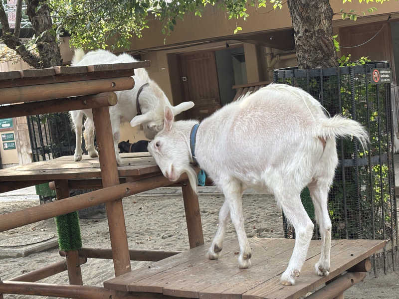 ぐらちさんのMONSTER WORK & SAUNAのサ活写真