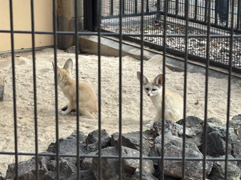 ぐらちさんのMONSTER WORK & SAUNAのサ活写真