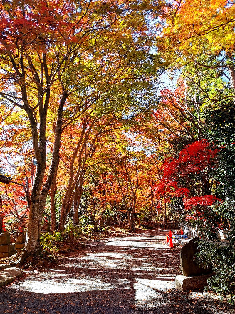 ナナナさんのTAKAO36SAUNAのサ活写真