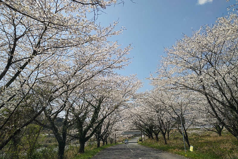 こむのりさんのおふろcafé あげき温泉のサ活写真