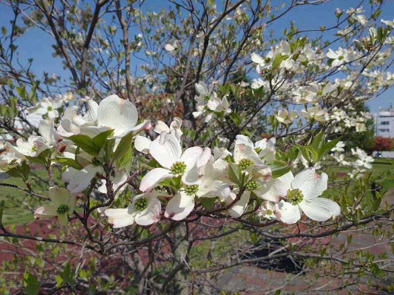 ４２６さんのひたちなか温泉 喜楽里別邸のサ活写真