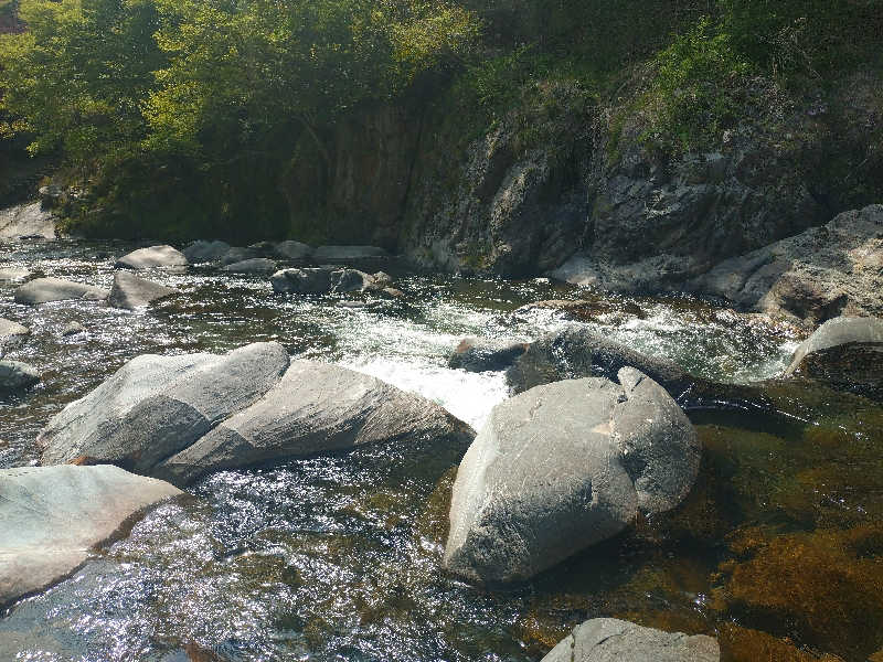 ノンキチさんの山ノサウナ 廃校を貸切でのサ活写真