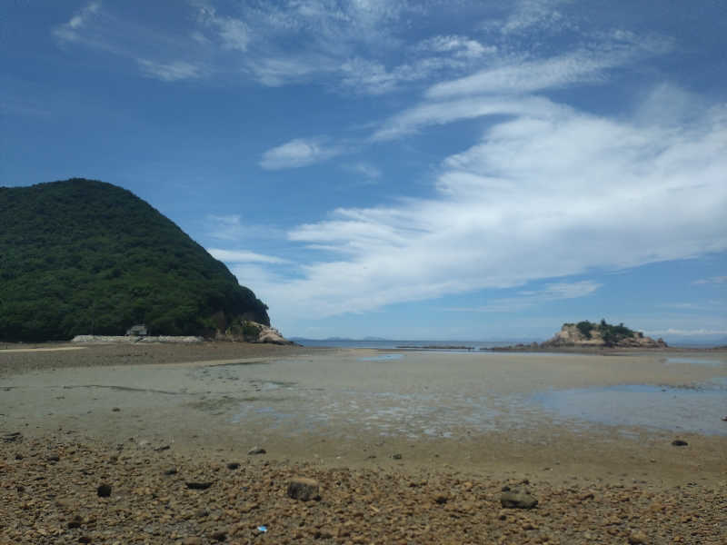 ノンキチさんのエピアみかどのサ活写真