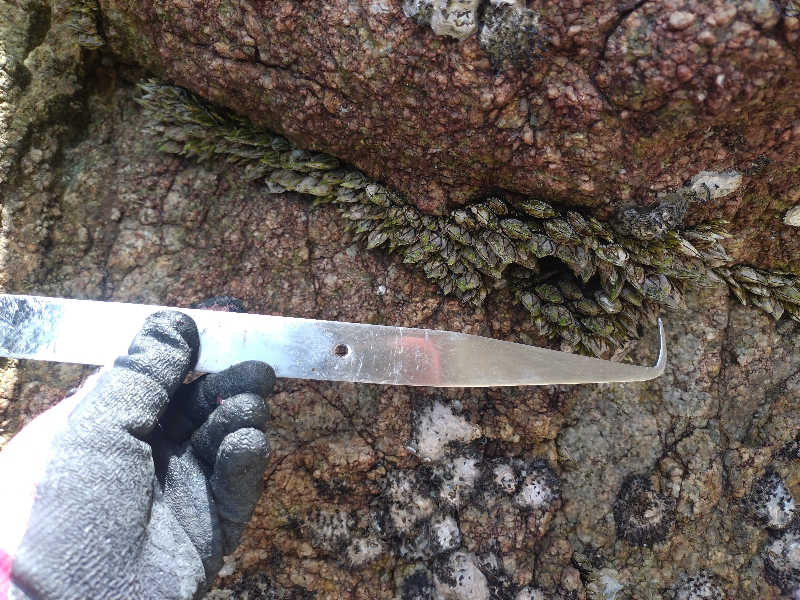 ノンキチさんのエピアみかどのサ活写真