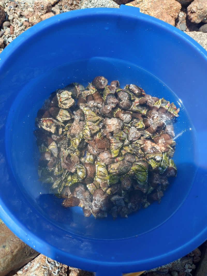 ノンキチさんのエピアみかどのサ活写真