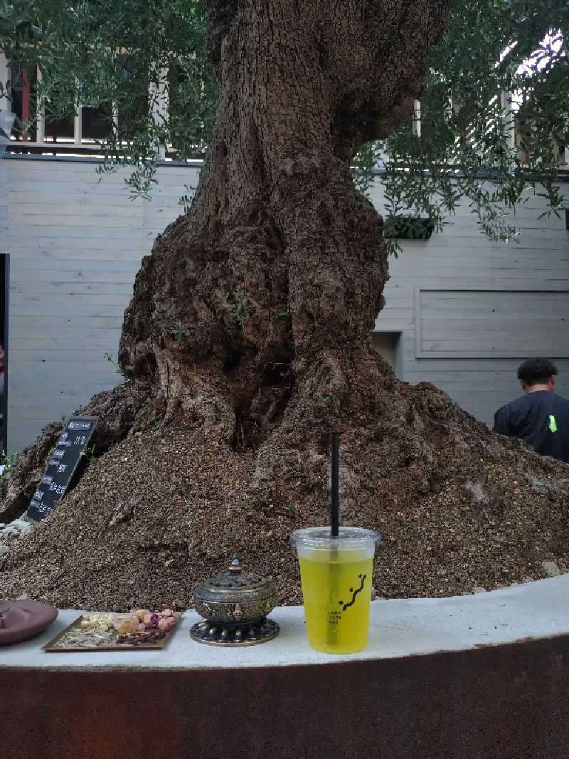 ノンキチさんのsauna kolme kylä (サウナ コルメ キュラ)のサ活写真