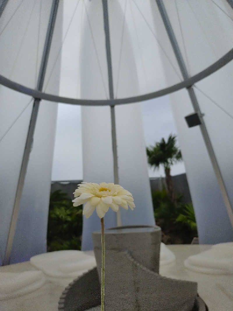 ノンキチさんの大阪・関西万博 万博サウナ「太陽のつぼみ」のサ活写真