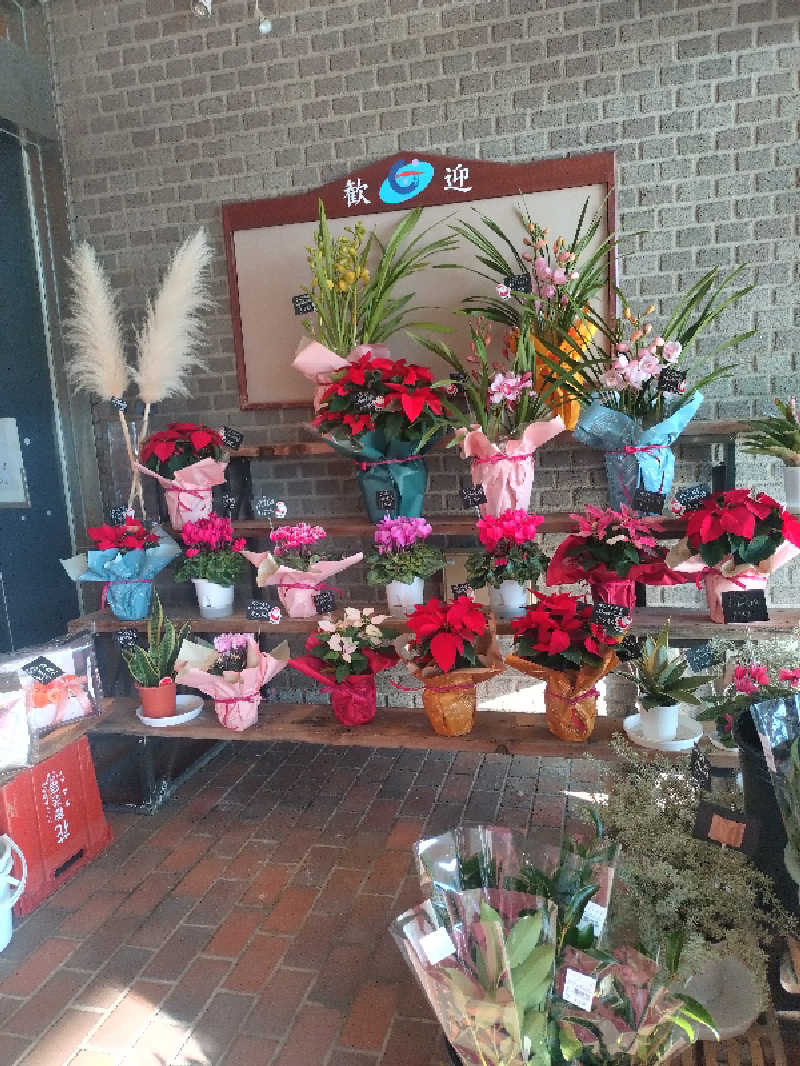 ノンキチさんの天然温泉御所の郷のサ活写真