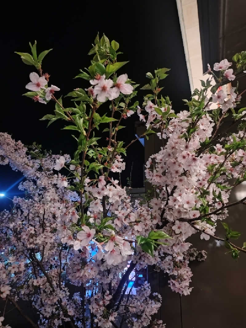 ノンキチさんの瀬戸大橋四国健康村のサ活写真