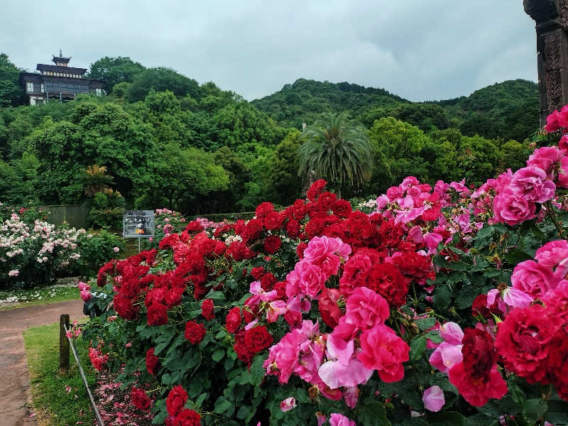 ノンキチさんの大江戸温泉物語 ホテルレオマの森 天然温泉 森の湯のサ活写真