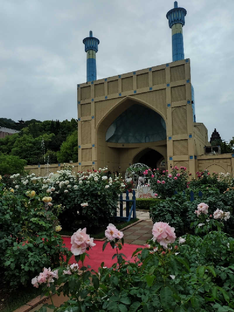 ノンキチさんの大江戸温泉物語 ホテルレオマの森 天然温泉 森の湯のサ活写真