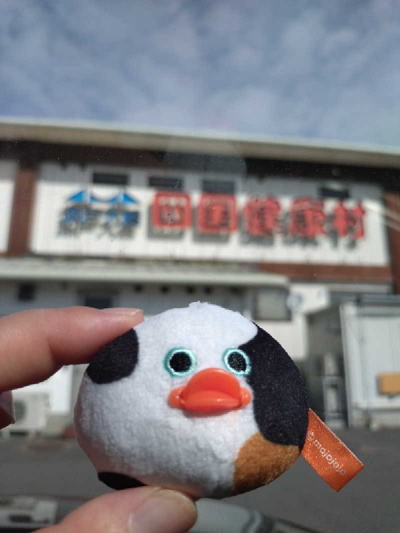 ノンキチさんの瀬戸大橋四国健康村のサ活写真
