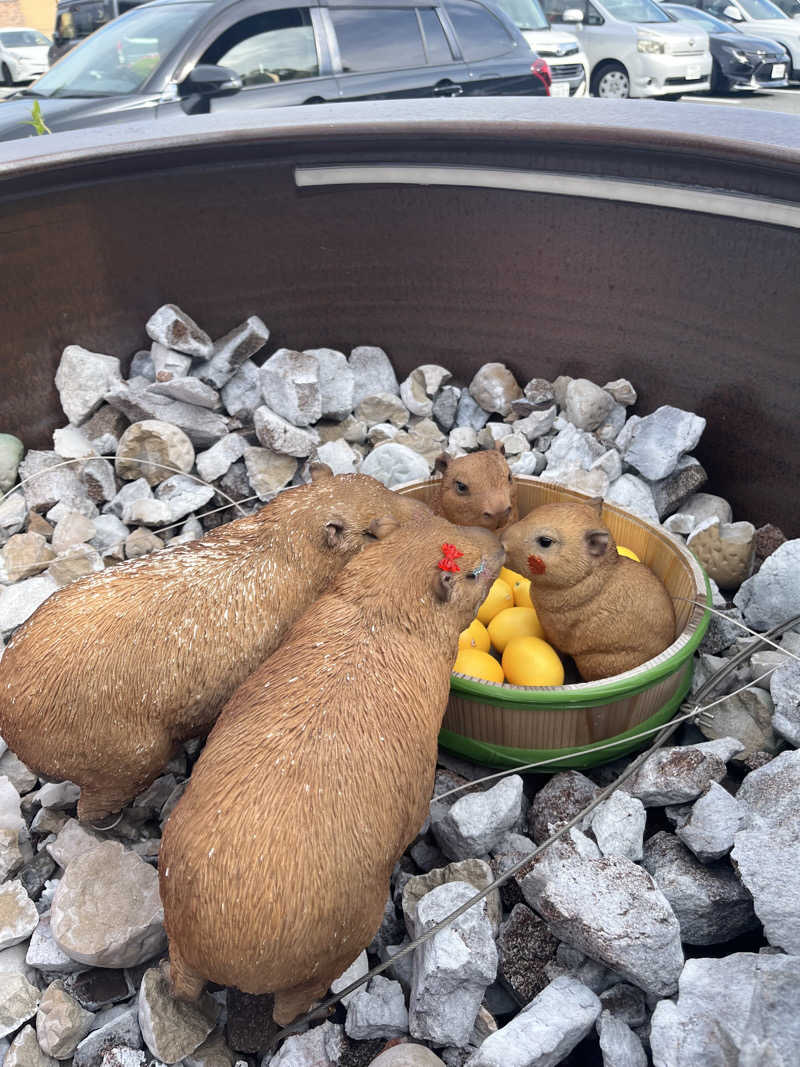 さ湯さんの富士山天然水SPA サウナ鷹の湯のサ活写真