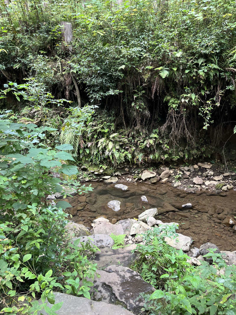 さ湯さんのCAMPAGE Private Saunaのサ活写真