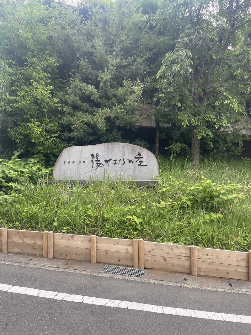 えぬさんの宮前平源泉 湯けむりの庄のサ活写真