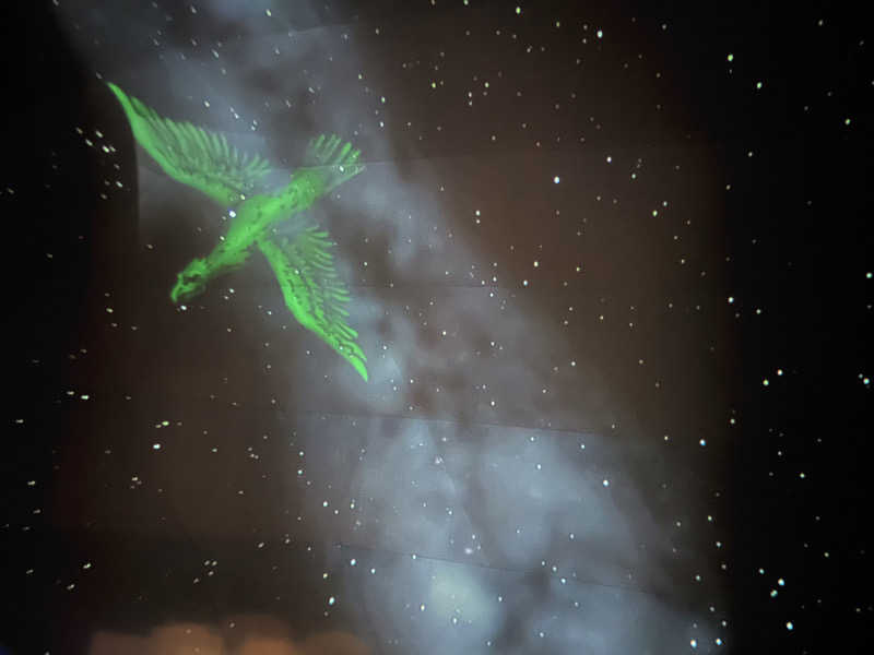 えぬさんの東急ハーヴェストクラブ天城高原(ホテルハーヴェスト天城高原)のサ活写真