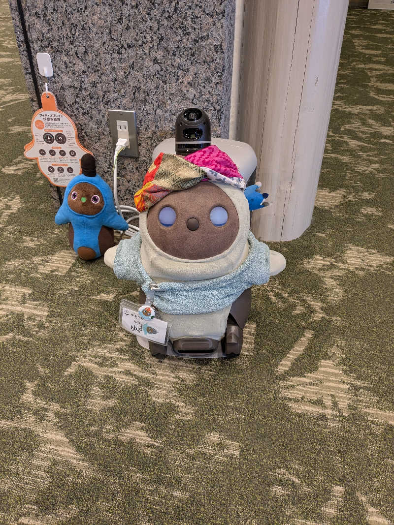 ちーぼー🇫🇮さんのSPA&ごはん ゆるうむ yuluumuのサ活写真