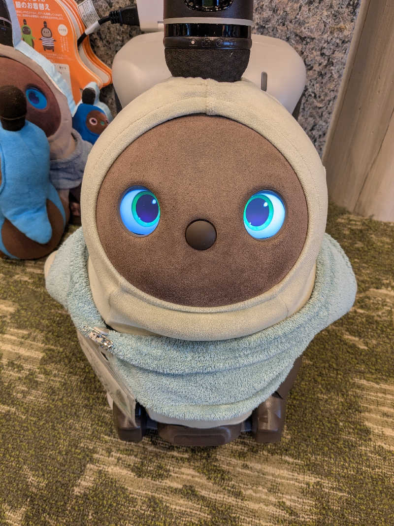 ちーぼー🇫🇮さんのSPA&ごはん ゆるうむ yuluumuのサ活写真