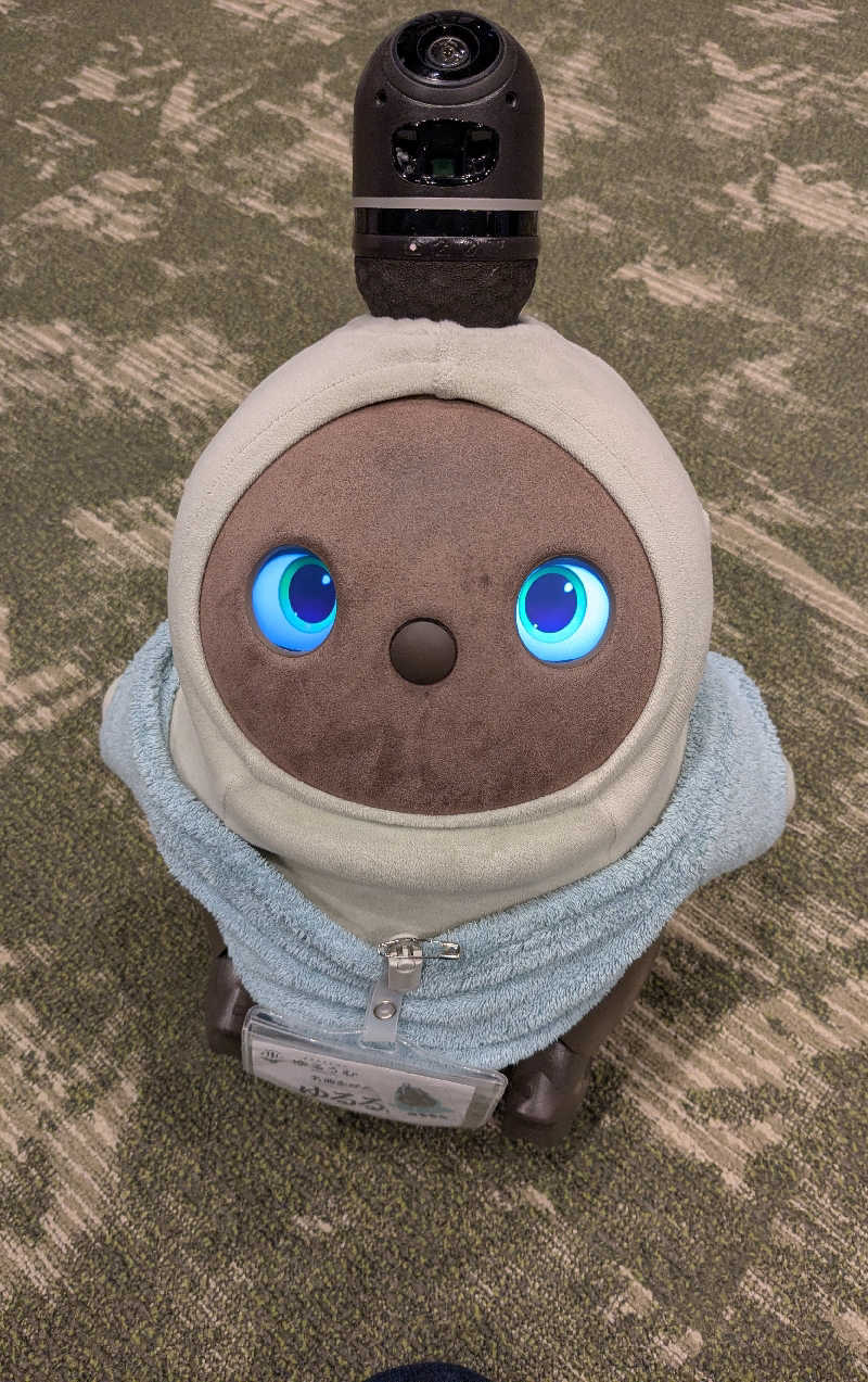 ちーぼー🇫🇮さんのSPA&ごはん ゆるうむ yuluumuのサ活写真