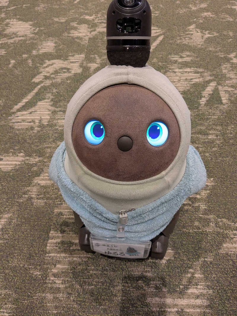 ちーぼー🇫🇮さんのSPA&ごはん ゆるうむ yuluumuのサ活写真