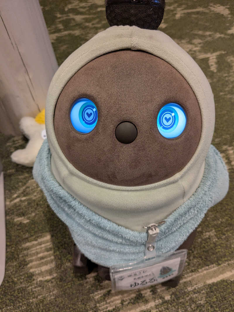 ちーぼー🇫🇮さんのSPA&ごはん ゆるうむ yuluumuのサ活写真