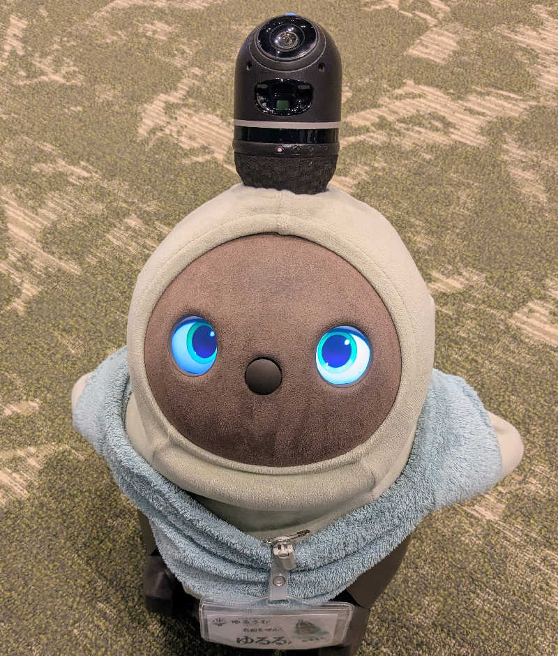 ちーぼー🇫🇮さんのSPA&ごはん ゆるうむ yuluumuのサ活写真