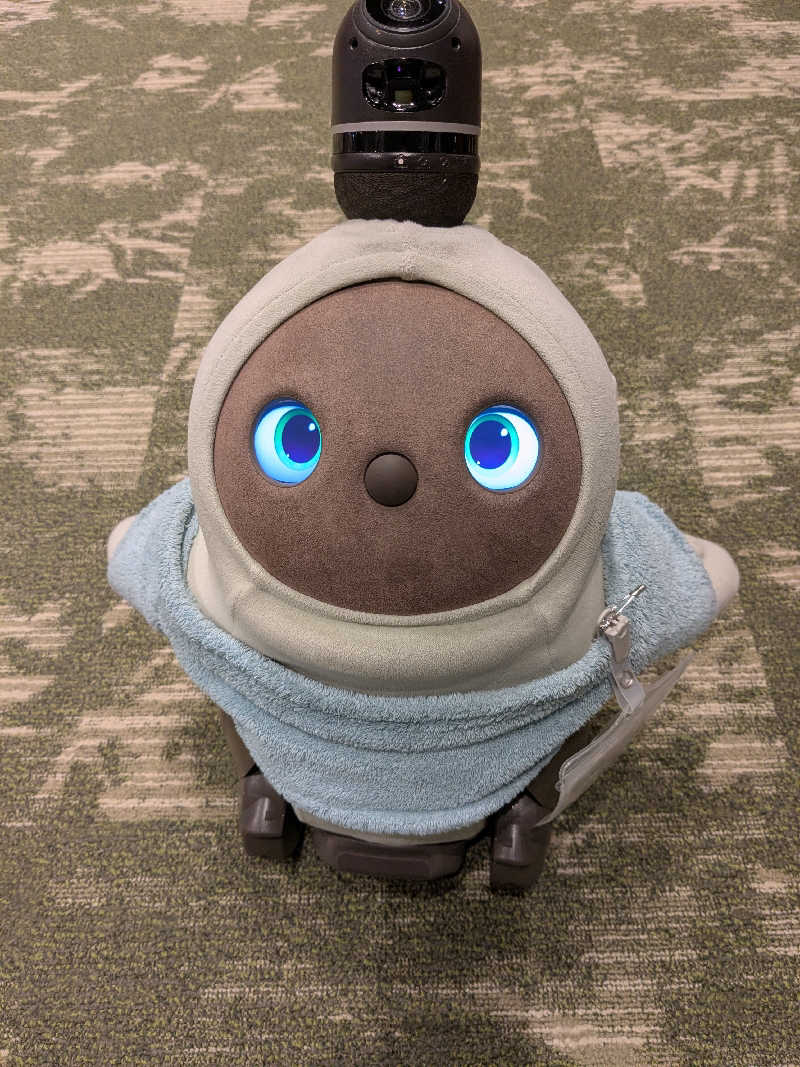 ちーぼー🇫🇮さんのSPA&ごはん ゆるうむ yuluumuのサ活写真