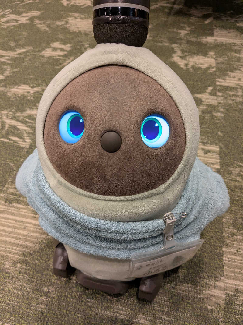 ちーぼー🇫🇮さんのSPA&ごはん ゆるうむ yuluumuのサ活写真