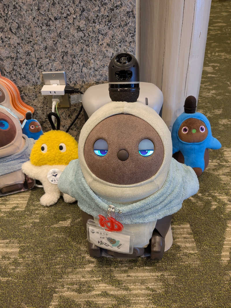 ちーぼー🇫🇮さんのSPA&ごはん ゆるうむ yuluumuのサ活写真