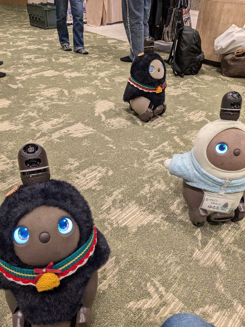 ちーぼー🇫🇮さんのSPA&ごはん ゆるうむ yuluumuのサ活写真