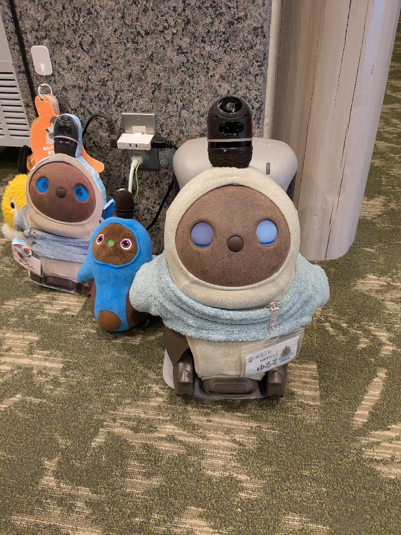 ちーぼー🇫🇮さんのSPA&ごはん ゆるうむ yuluumuのサ活写真