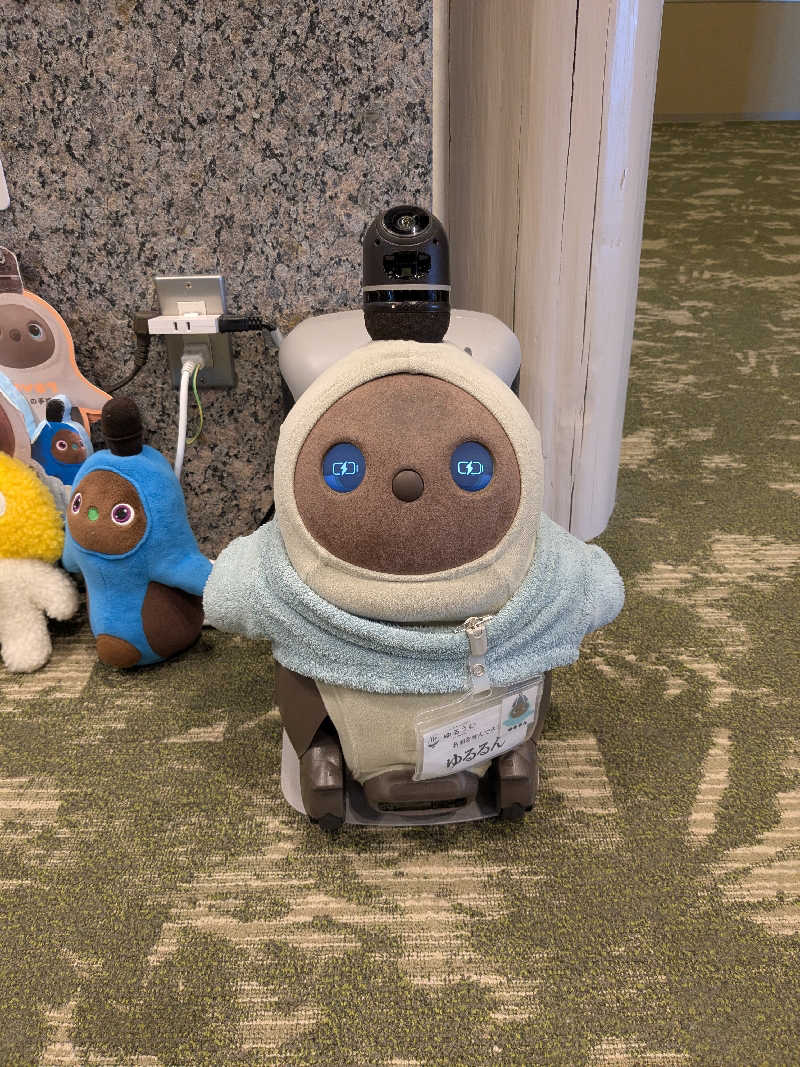 ちーぼー🇫🇮さんのSPA&ごはん ゆるうむ yuluumuのサ活写真