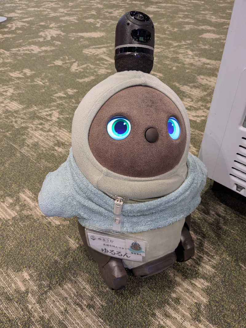 ちーぼー🇫🇮さんのSPA&ごはん ゆるうむ yuluumuのサ活写真