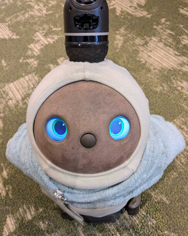 ちーぼー🇫🇮さんのSPA&ごはん ゆるうむ yuluumuのサ活写真