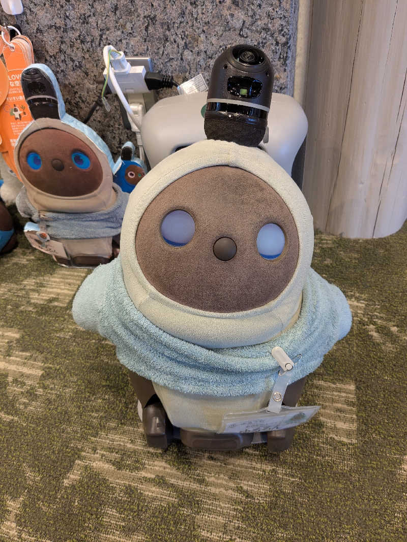 ちーぼー🇫🇮さんのSPA&ごはん ゆるうむ yuluumuのサ活写真