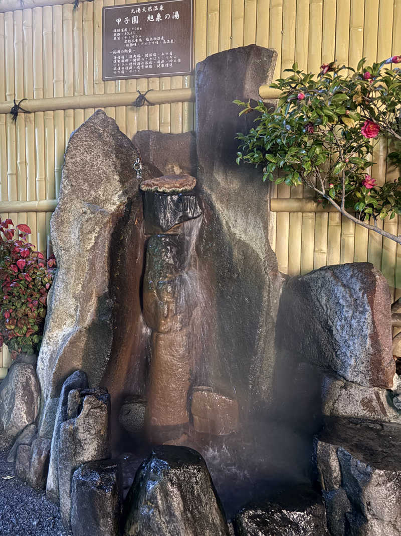 112637さんの浜田温泉 甲子園旭泉の湯のサ活写真