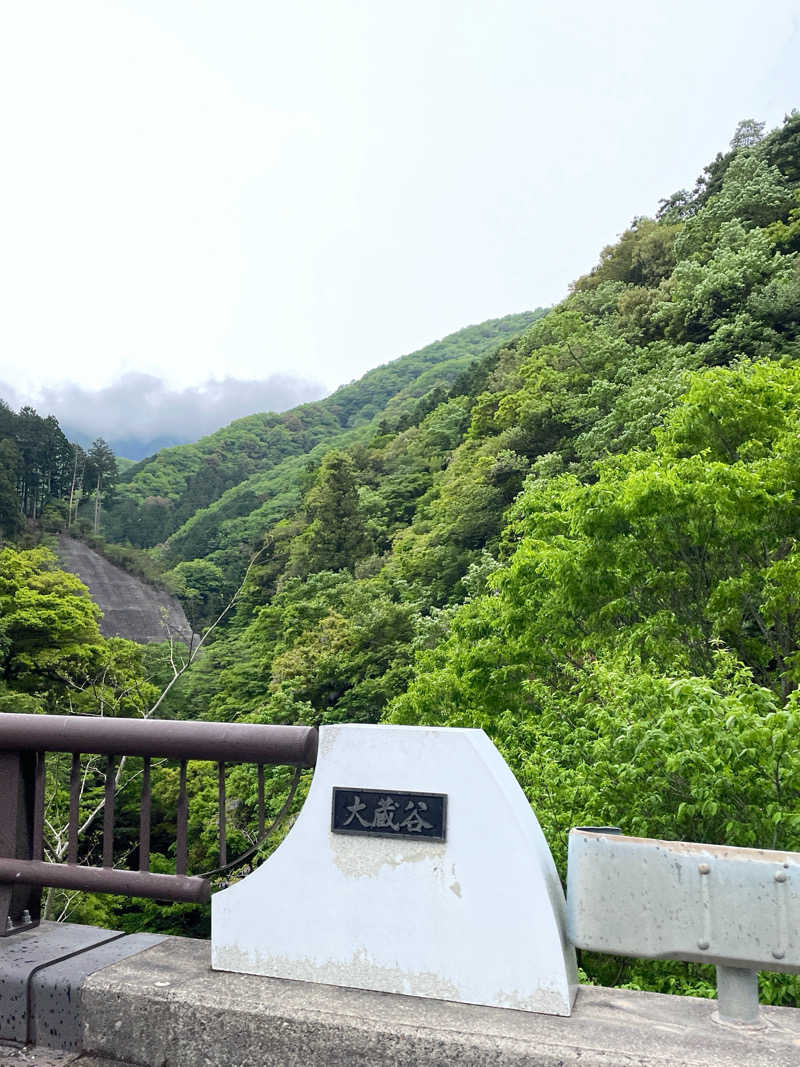 あまみでる子さんのいび川温泉 藤橋の湯のサ活写真