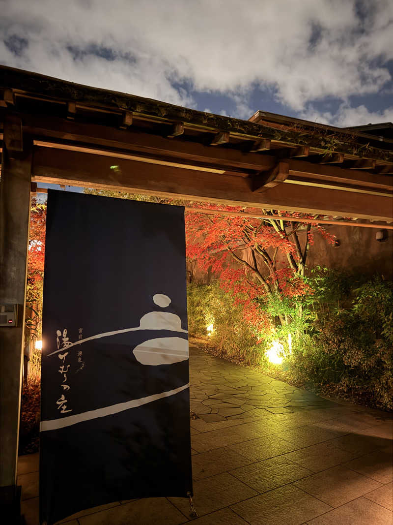 Ⓜ️さんの宮前平源泉 湯けむりの庄のサ活写真