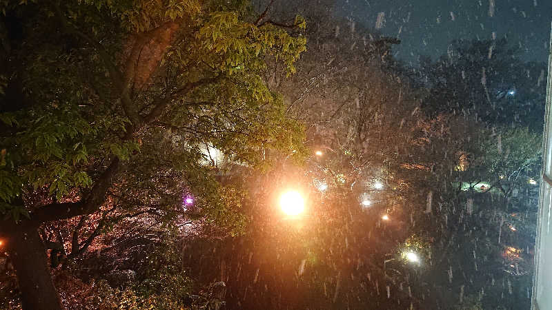 ぱ！も！さんの豊島園 庭の湯のサ活写真