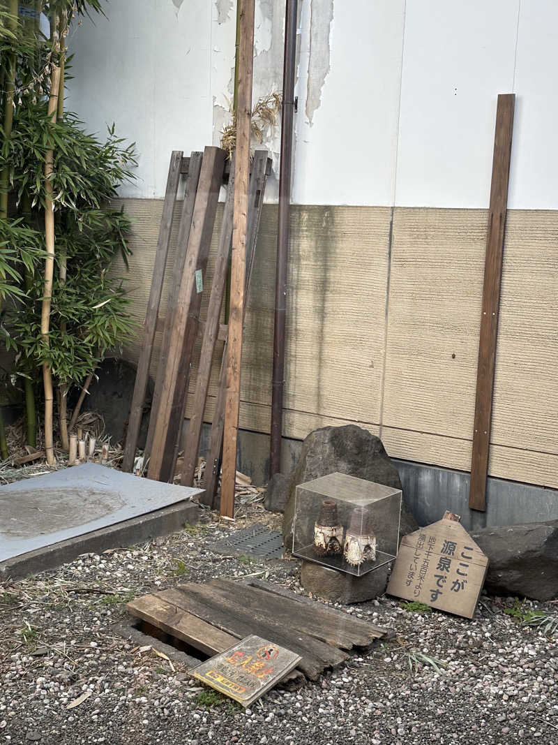 Lisaさんの深大寺天然温泉 湯守の里のサ活写真