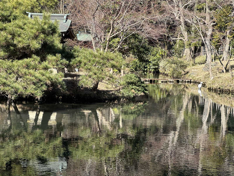 Lisaさんの深大寺天然温泉 湯守の里のサ活写真