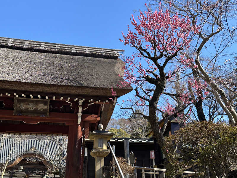 Lisaさんの深大寺天然温泉 湯守の里のサ活写真