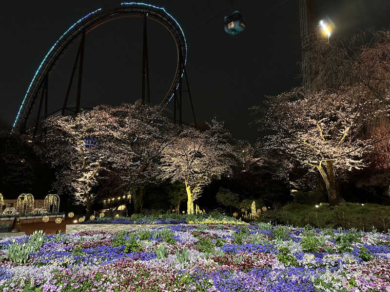 Lisaさんのよみうりランド眺望温泉 花景の湯のサ活写真