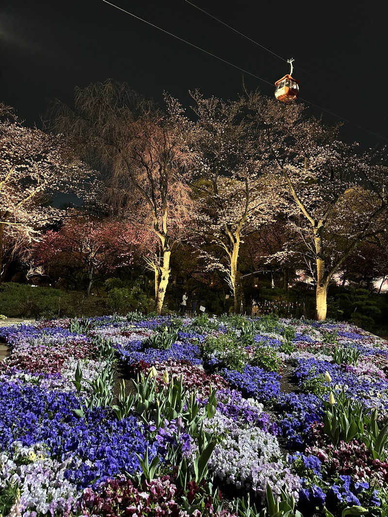 Lisaさんのよみうりランド眺望温泉 花景の湯のサ活写真