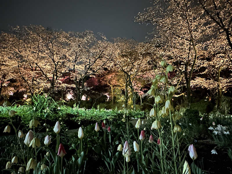 Lisaさんのよみうりランド眺望温泉 花景の湯のサ活写真