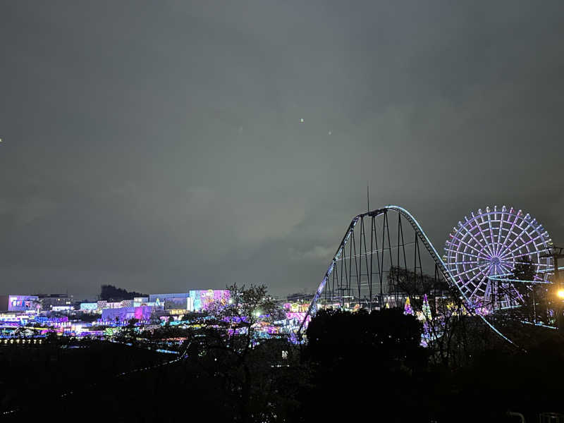 Lisaさんのよみうりランド眺望温泉 花景の湯のサ活写真