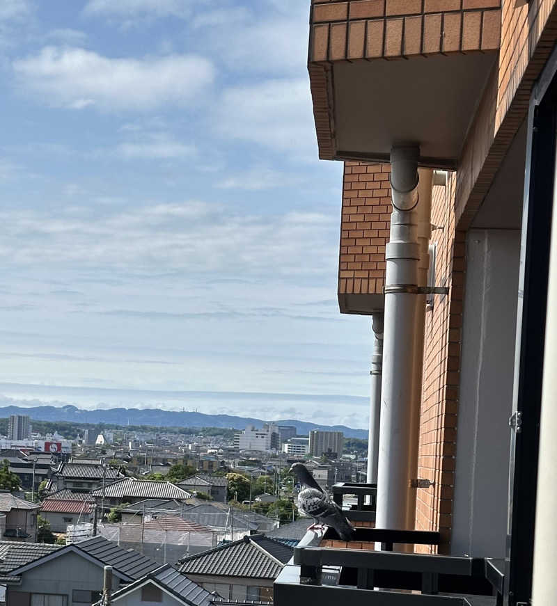 Lisaさんのオールドルーキーサウナホテル木更津金田のサ活写真