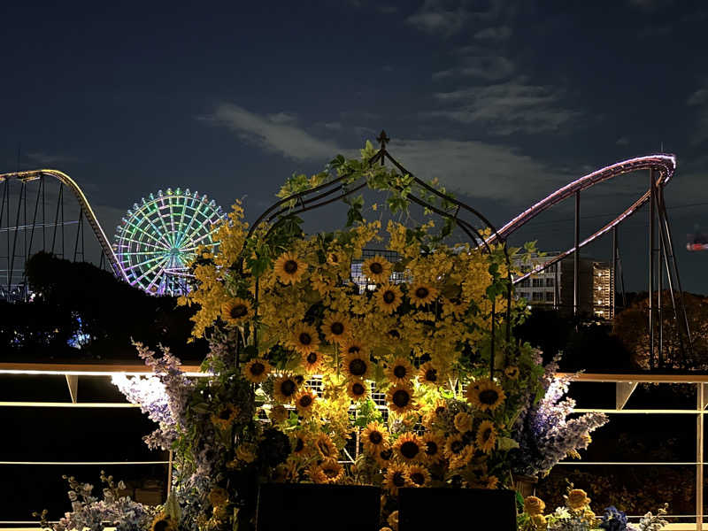 Lisaさんのよみうりランド眺望温泉 花景の湯のサ活写真