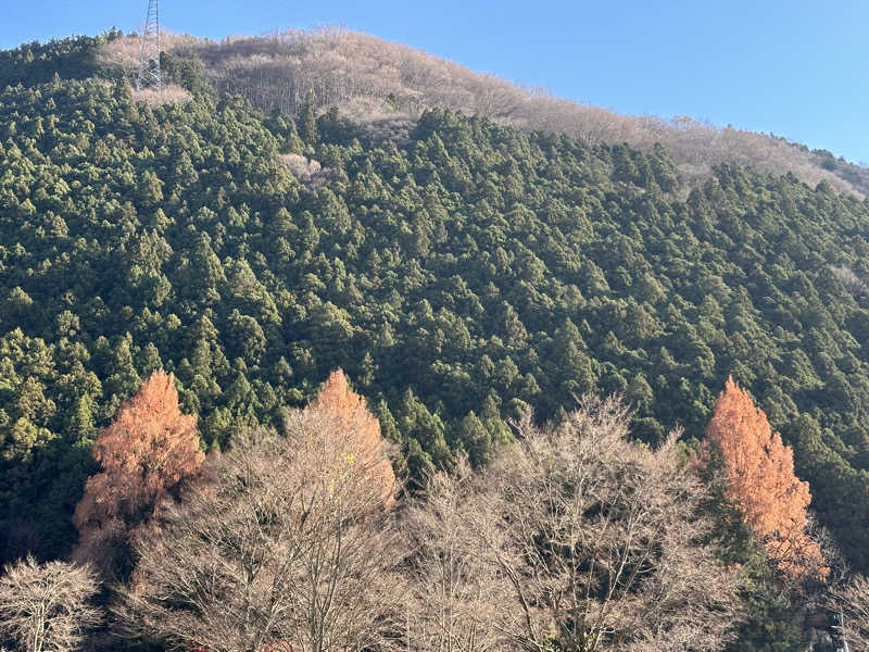 Lisaさんのサウナの森 水沼ヴィレッジのサ活写真