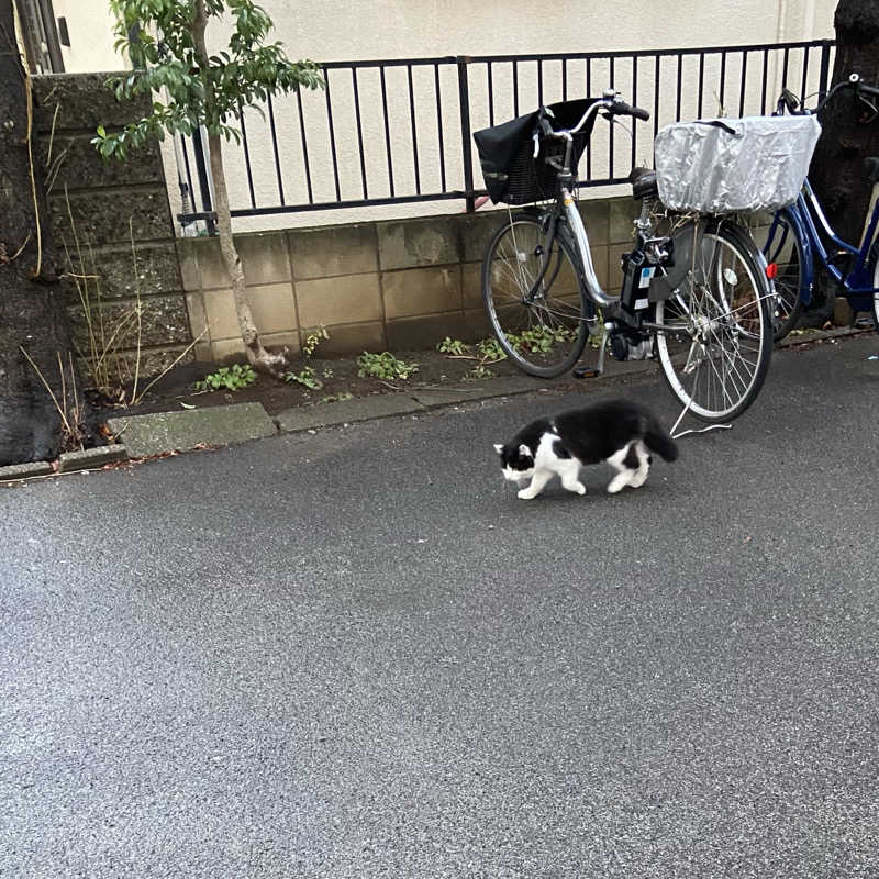 ぁぃ🖤🐈‍⬛さんのサウナヘヴン草加のサ活写真